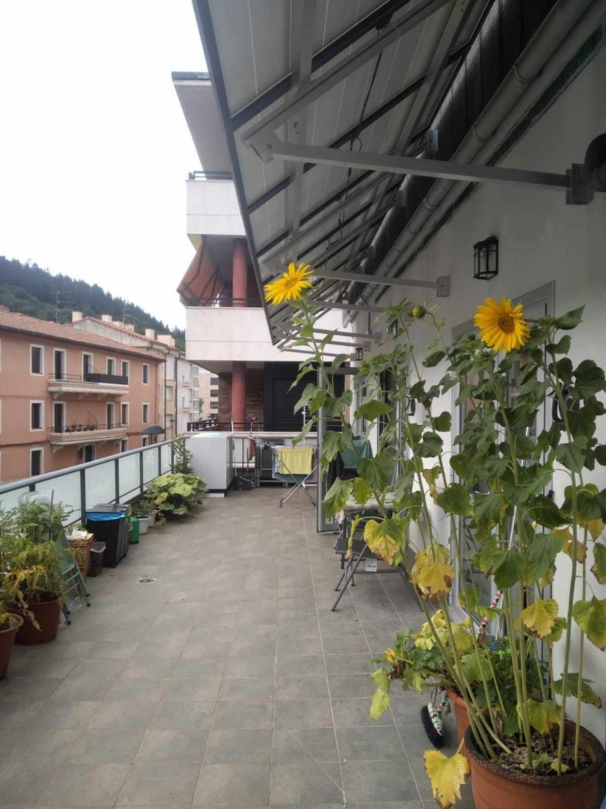 Aldabea II Apartamento Sostenible Legazpia Exterior photo